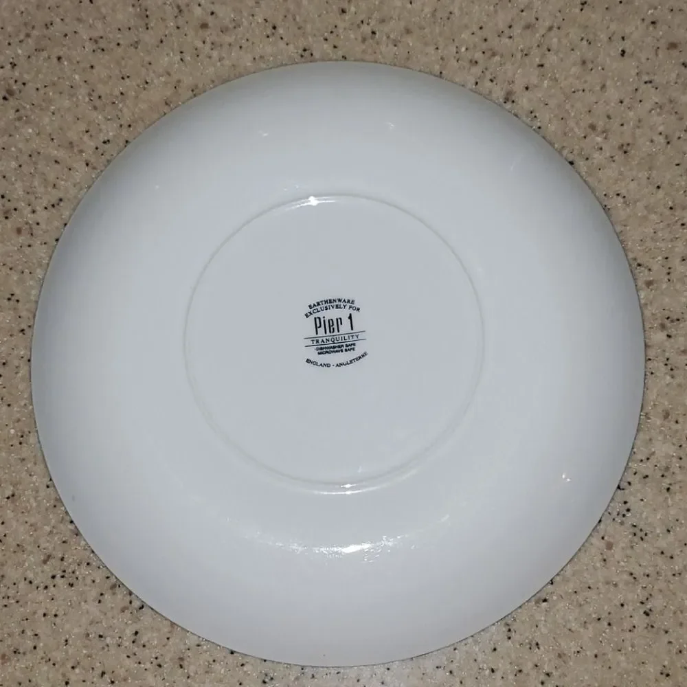 Pier 1 Imports Tranquility Dinner Plate